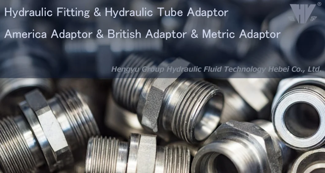 High Pressure Double Use Hydraulic British Adaptor Bsp Male Double Use for 60&deg; Cone Seat or Bonded Seal/ Bsp Male 0-Ring Adapter-1bg