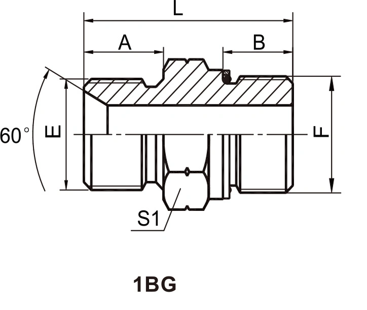 High Pressure Double Use Hydraulic British Adaptor Bsp Male Double Use for 60&deg; Cone Seat or Bonded Seal/ Bsp Male 0-Ring Adapter-1bg